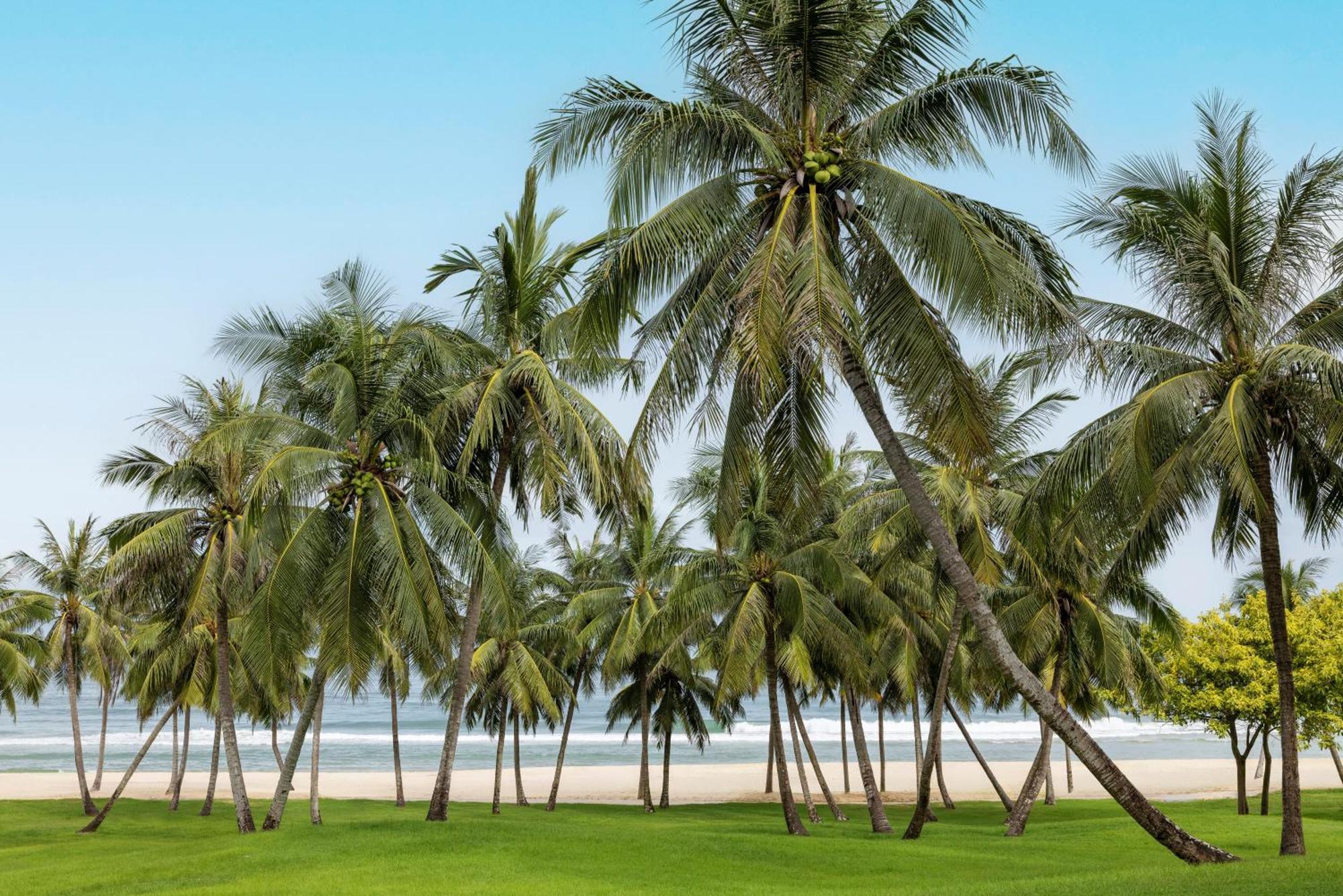 Raffles Hainan Clear Water Bay Lingshui  Екстер'єр фото